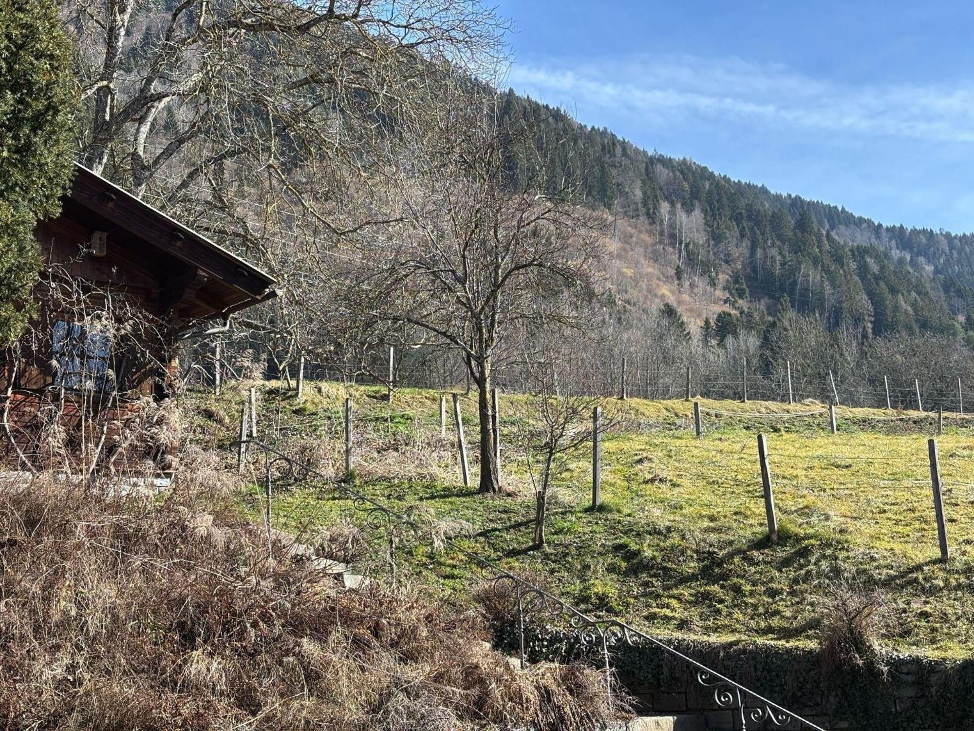 Moderne-Ferienwohnung-Nur-1Km-Vom-Millstaetter-See-In-Kaernten-Entfernt ミルシュタット エクステリア 写真
